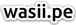 WASII S.A.C. logo