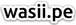 Testimonial 2 - WASII S.A.C.